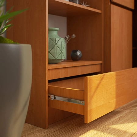 Regał do salonu, biura, 1 szuflada, półki, ARLO, 60x35x180 cm, olcha, mat