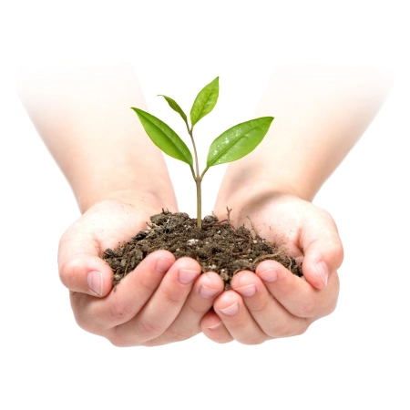 Agrowłóknina ogrodowa, 0,8x100 m, 100 szpilek, czarna