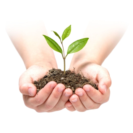 Agrowłóknina ogrodowa, 1,6x50 m, 100 szpilek, czarna