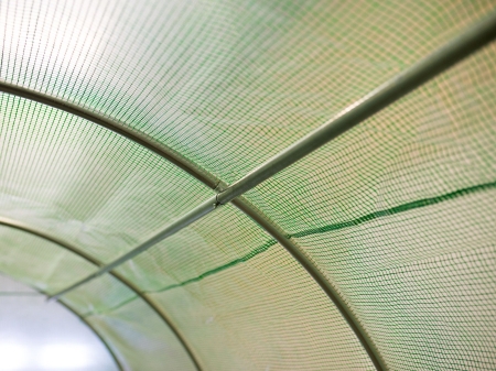 Folia na tunel ogrodowy, 2x3 m (6 m2), Plonos, zielona