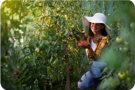 Tunel ogrodowy, wzmocniony, 7m2, 200x350x200 cm, zielony