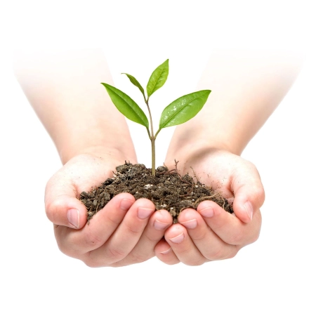 Agrowłóknina ogrodowa, 1,6x100 m, 100 szpilek, zielona