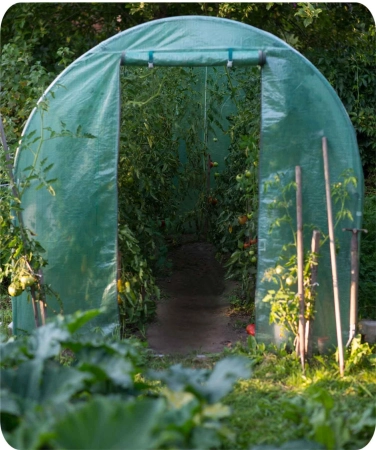 Tunel ogrodowy, 7m2, 200x350x200 cm, zielony