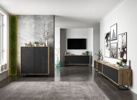 Komoda RTV, loft, NORD, 150x35x53 cm, dąb wotan, czarny, mat