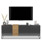 Szafka RTV, stojąca, loft, TERRA, 160x38x57 cm, dąb artisan, grafit, połysk