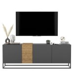 Szafka RTV, stojąca, loft, TERRA, 160x38x57 cm, dąb artisan, grafit, mat