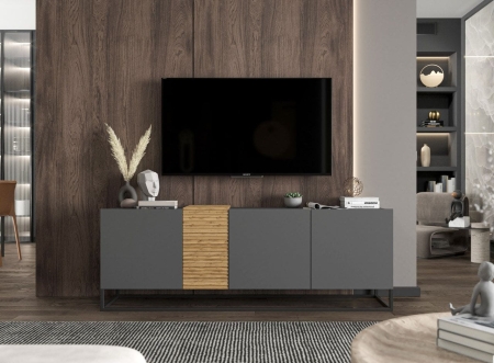 Szafka RTV, stojąca, loft, TERRA, 160x38x57 cm, dąb artisan, grafit, mat