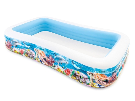 Basen dmuchany, rybki, Intex, 305x183x56 cm