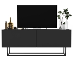 Szafka RTV, stojąca, loft, SANO, 120x35x46 cm, grafit, mat