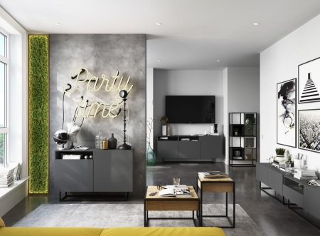 Szafka RTV, stojąca, loft, SANO, 120x35x46 cm, grafit, mat