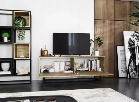 Szafka RTV, stojąca, loft, SANO, 120x35x46 cm, dąb artisan, mat