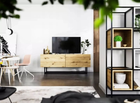 Szafka RTV, stojąca, loft, SANO, 120x35x46 cm, dąb artisan, mat