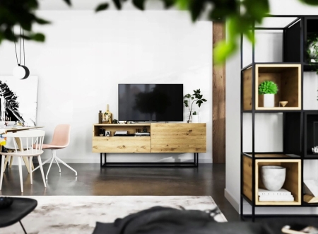 Komoda RTV, półka, loft, SANO, 120x35x46 cm, dąb artisan, mat