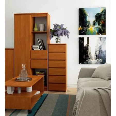 Wąska komoda do salonu, STILO, 40x35x109 cm, olcha, mat