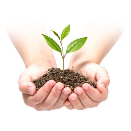 Agrowłóknina ogrodowa, 1,6x100 m, 100 szpilek, Plonos, zielony