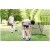 Bramka treningowa, rebounder, Neo-Sport, 100x100 cm