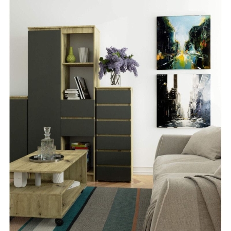 Wąska komoda do salonu, STILO, 40x35x109 cm, dąb artisan, grafit szary, mat