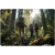 Kijki do nordic walkingu, trekkingowe, Neo-Sport, zielony