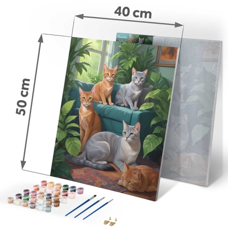 Obraz do malowania po numerach, 40x50 cm, Massido, Koty