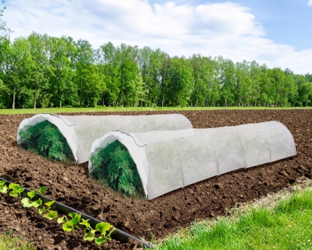 Tunel ogrodowy, zestaw 2 sztuk, mini szklarnia ogrodowa, 300x30x45 cm