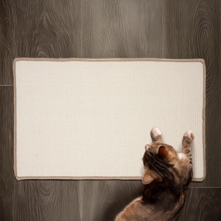 Drapak na meble dla kota, kanapę, ścianę, fotel, ochrona przeciw drapaniu, 80x50 cm