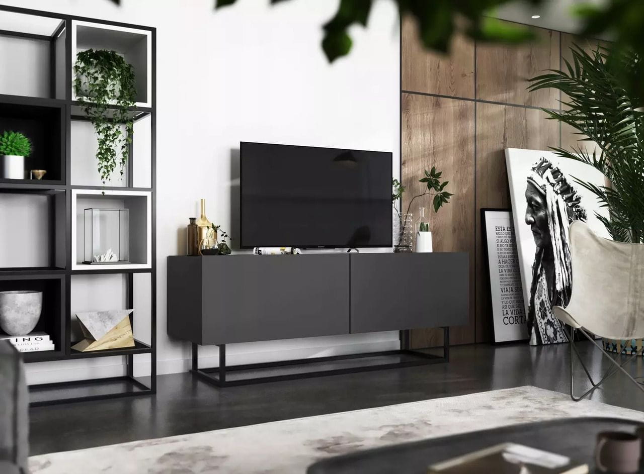 Szafka RTV, stojąca, loft, SANO, 120x35x46 cm, grafit, mat